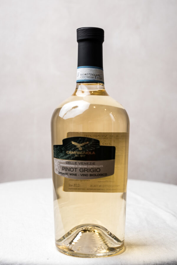 Pinot Grigio DOC - Imagen 3